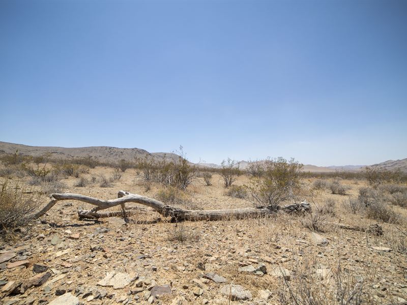 Endless Possibilities : Apple Valley : San Bernardino County : California