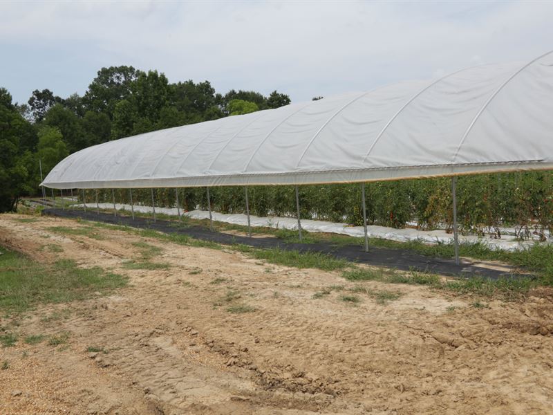 Organic Vegetable Farm : Montgomery : Montgomery County : Alabama