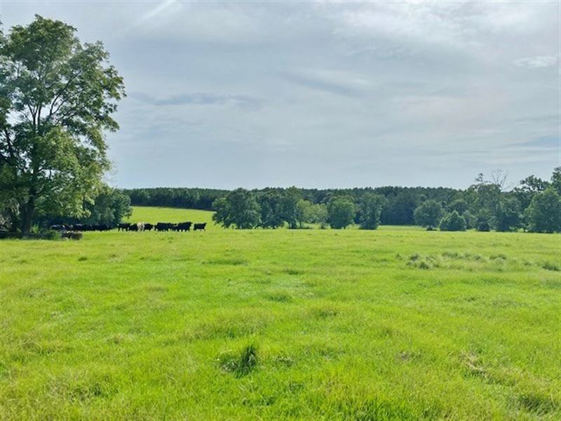172 Acre Working Cattle Farm/Home/T, Farm for Sale in Mississippi