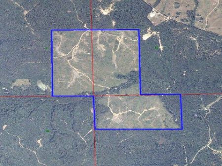 Rock Hill - 237 Acres : Crystal Springs : Copiah County : Mississippi