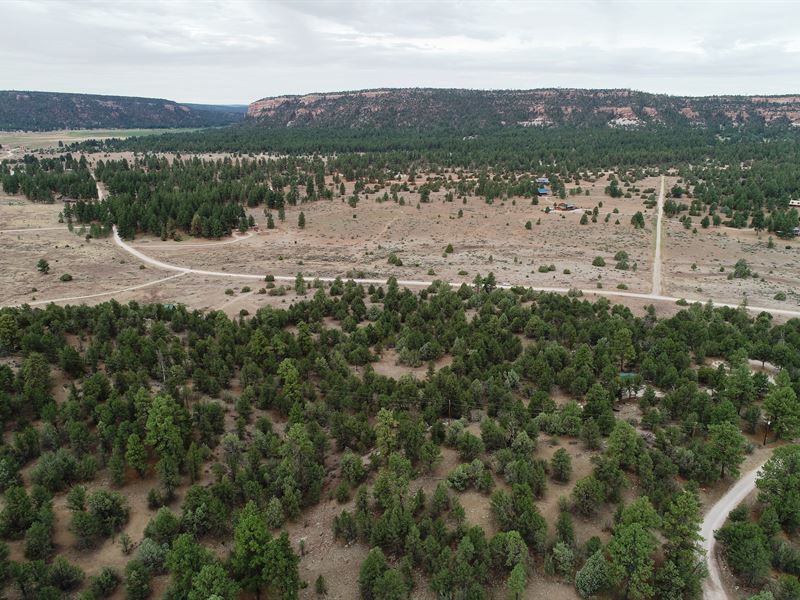 5.4 Ac in Timberlake Ranch in NM, Farm for Sale by Owner in New Mexico, 285324 FARMFLIP