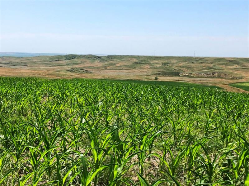 Keith County Farm and Grass : Brule : Keith County : Nebraska