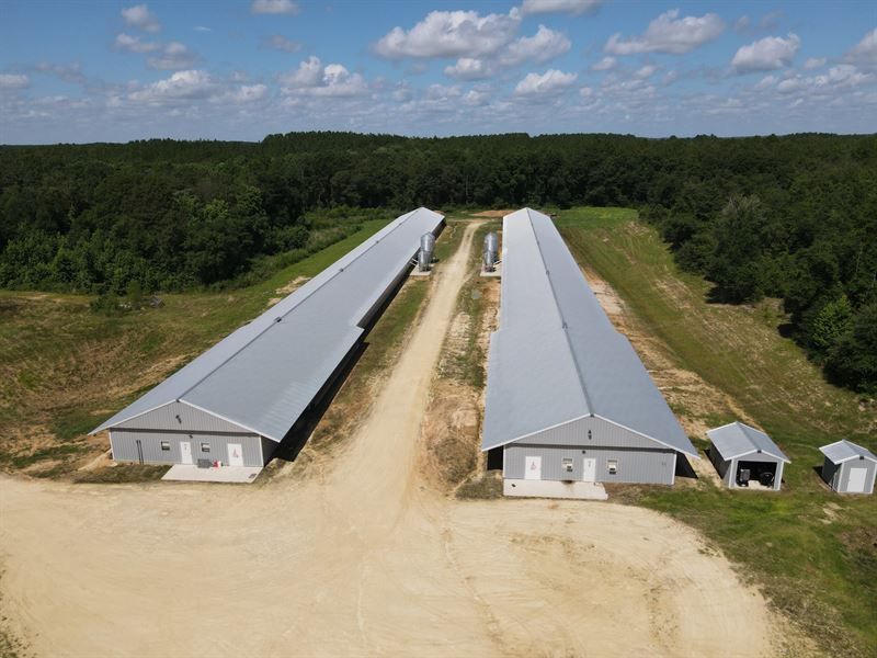 Hacoda Breeder Farm : Samson : Geneva County : Alabama