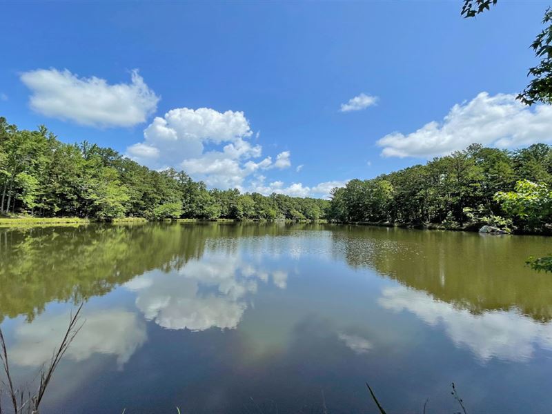 Brimwood Lakes and Lodge, Farm for Sale in Alabama, 285441 FARMFLIP