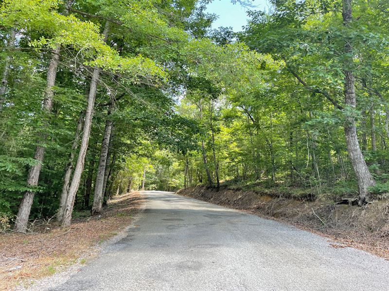 Camp Branch Road Tract 4 Farm for Sale in West Blocton, Bibb County