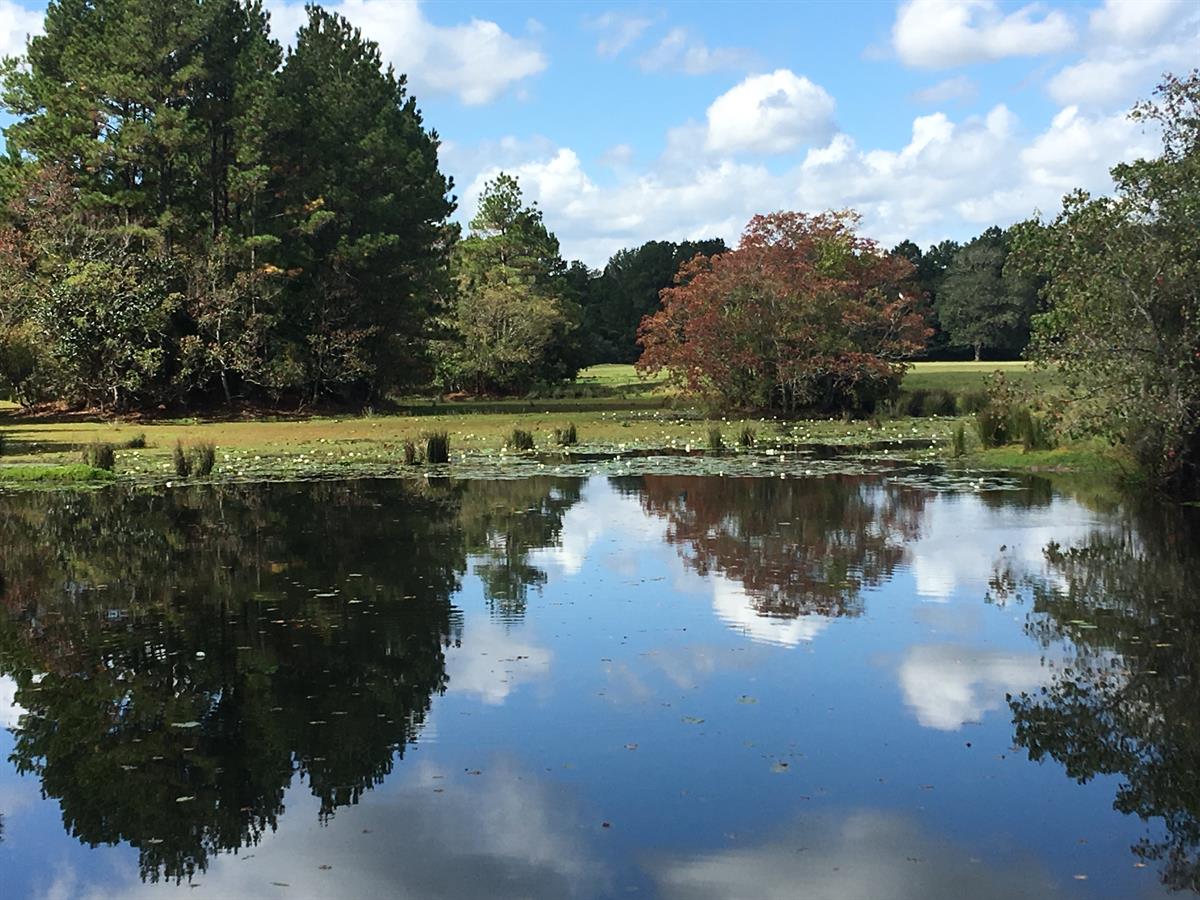 What County Is Shepherd Texas In