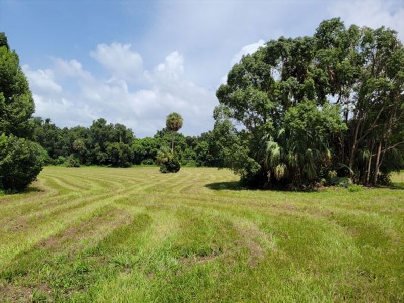 Silver Oak Acres Lot 2a : Reddick : Marion County : Florida