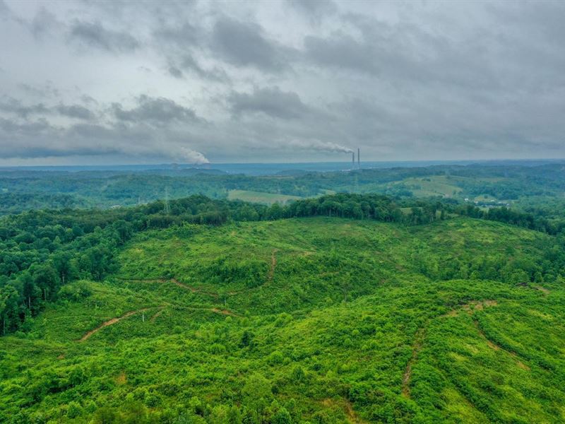 Oil Hollow Rd, 72 Acres, Gallia, Farm for Sale in Ohio, 285775 FARMFLIP