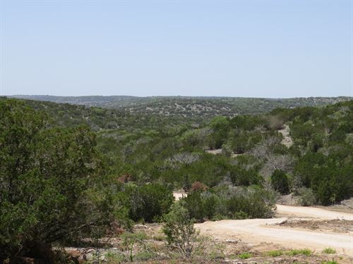 Free Range Exotics, Feral Hogs : Rocksprings : Edwards County : Texas