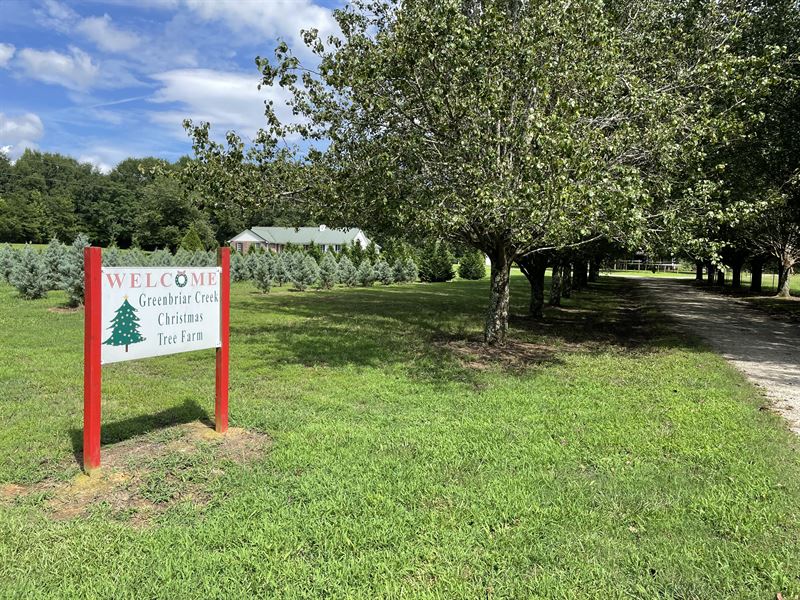 Greenbriar Christmas Tree Farm : Bishop : Oconee County : Georgia