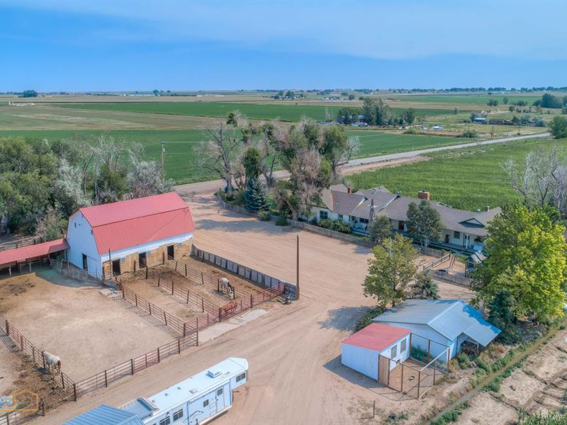 Raptors Roost Ranch : Eaton : Weld County : Colorado