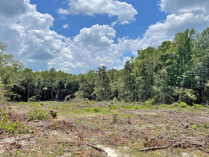 Jim Foshee Road 18 : Red Level : Covington County : Alabama