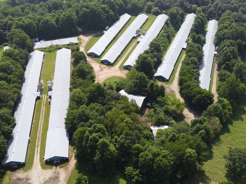 8 House Poultry Broiler Farm, Farm for Sale in 286119 FARMFLIP