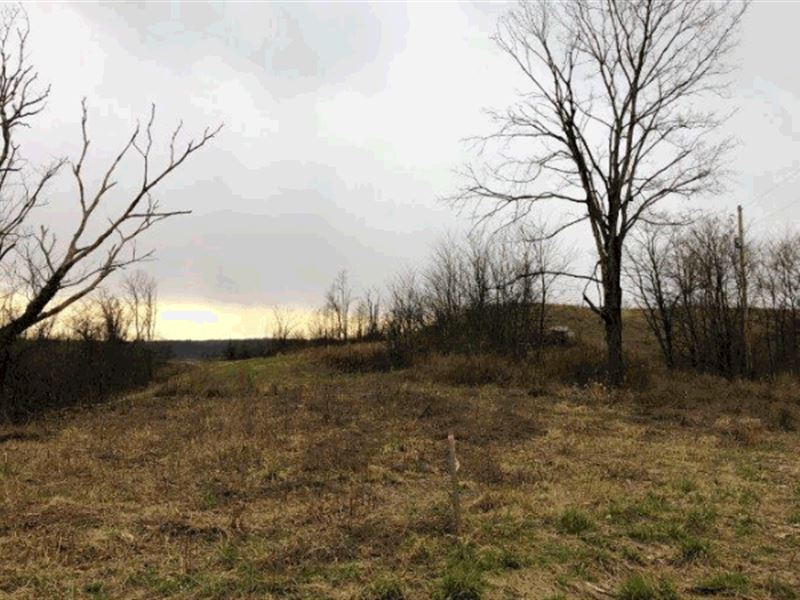 Ohio Land for Sale, Belmont County : Alledonia : Belmont County : Ohio
