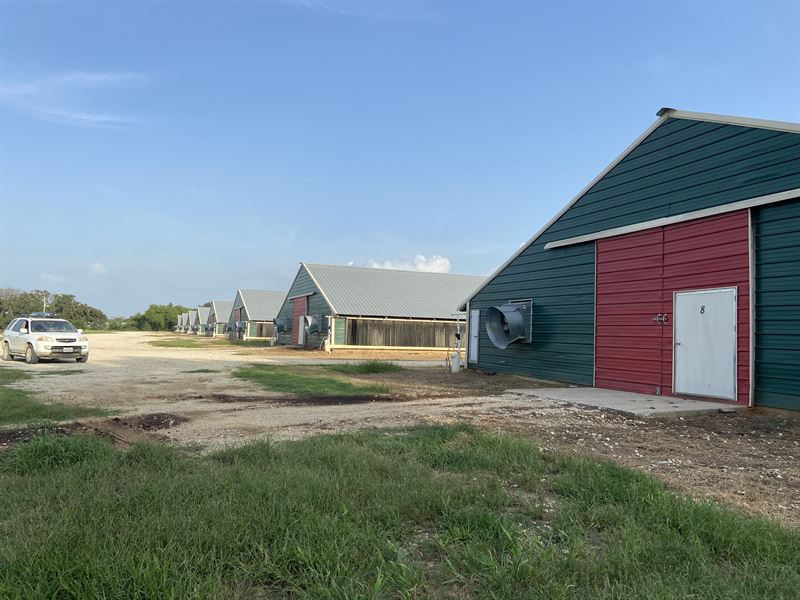 8 Houses Poultry Farm : Groesbeck : Limestone County : Texas