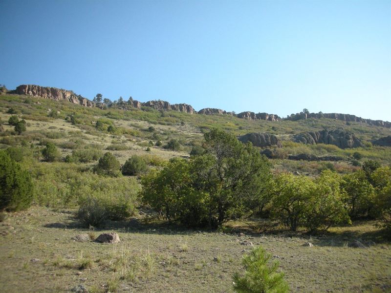 T Bar Ranch : Canon City : Fremont County : Colorado