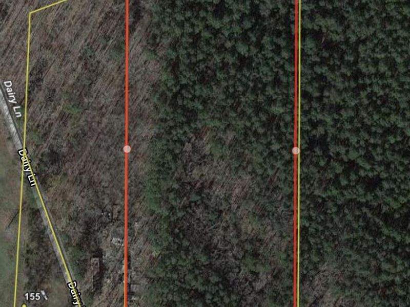8 Acres, Mature Timber, Stone : Prim : Stone County : Arkansas