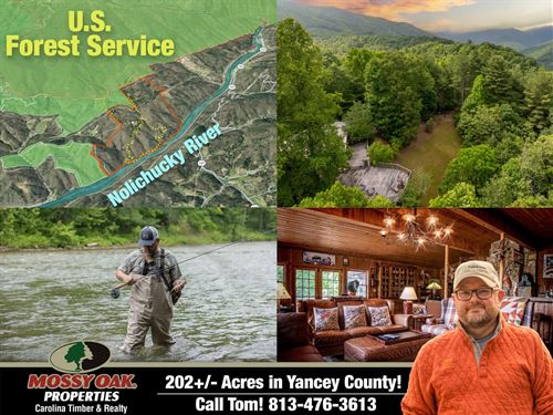 202 Acre Nolichucky River Mounta : Green Mountain : Yancey County : North Carolina