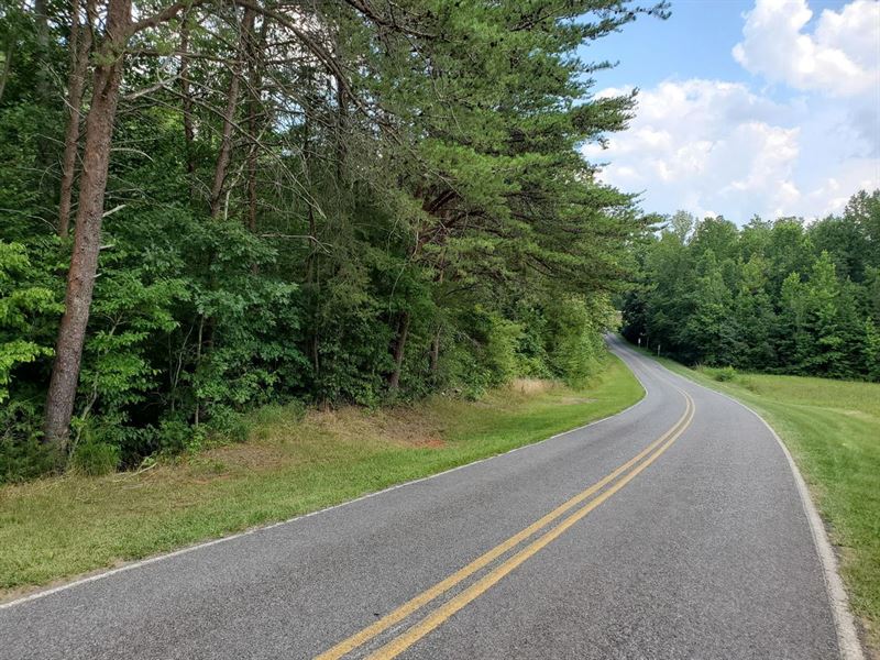 75.94 Acres in Vale, Lincoln Cou, Farm for Sale in North Carolina