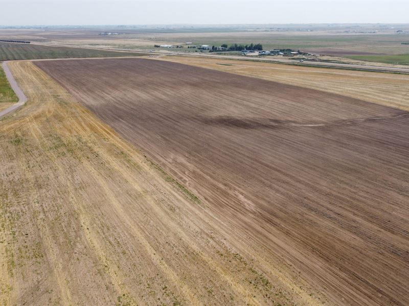 40 Acres in Nunn, Colorado, Farm for Sale in Colorado, 286646 FARMFLIP