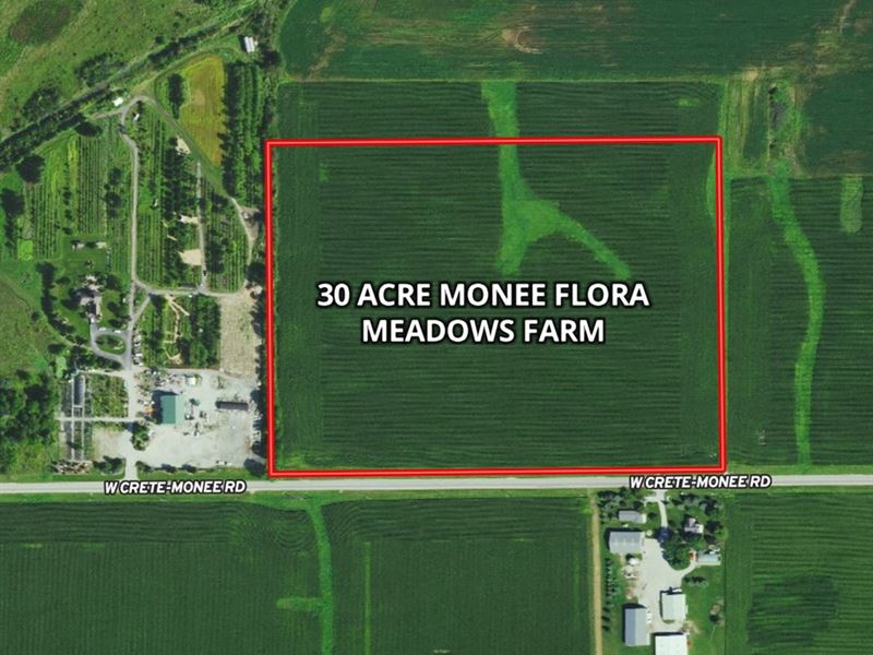 30 Acre Monee Flora Meadows Farm : Monee : Will County : Illinois