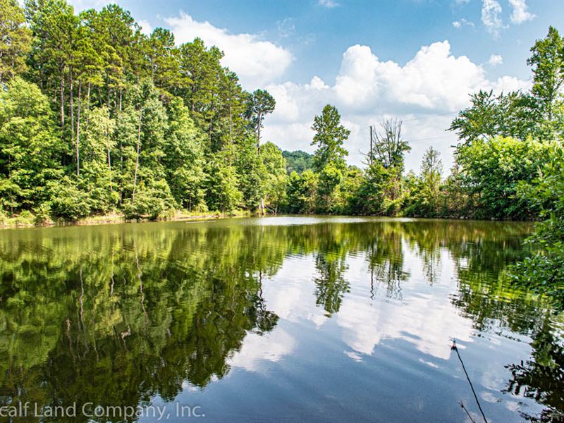 5 Acre Homesite Near Lake Blalock, Farm for Sale in South Carolina