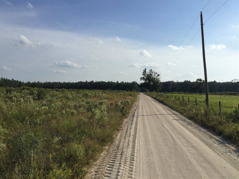 20 Acres High and Dry : McAlpin : Suwannee County : Florida