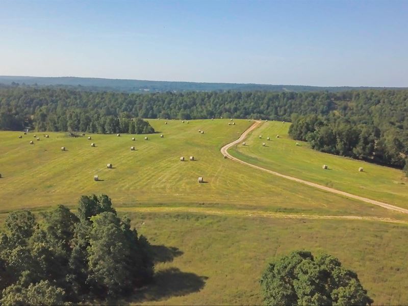Cattle Ranch, Hunting Property : Myrtle : Oregon County : Missouri