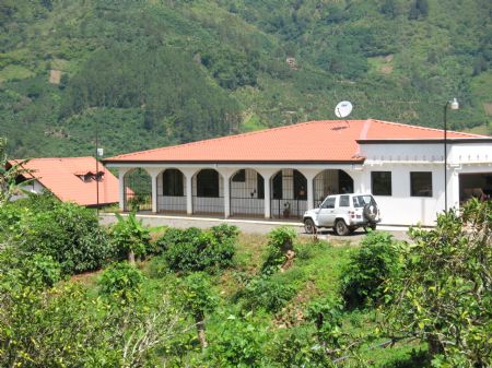 8 Ac. Coffee Farm with 3 Homes : Orosi Palomo : Costa Rica