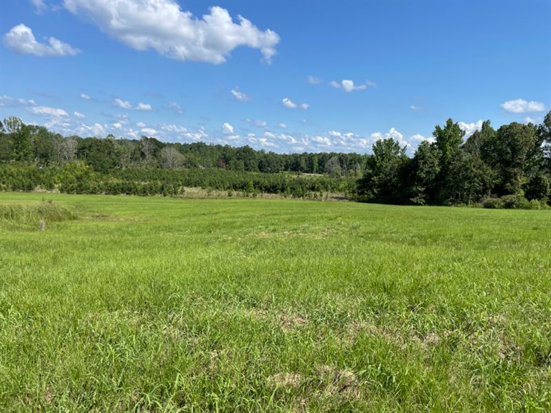 Harrisville Getaway, Farm for Sale in Mississippi, 287213 FARMFLIP