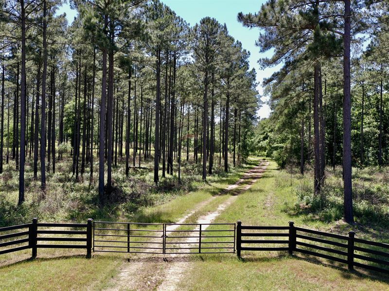 Keel Creek Plantation : Leary : Calhoun County : Georgia