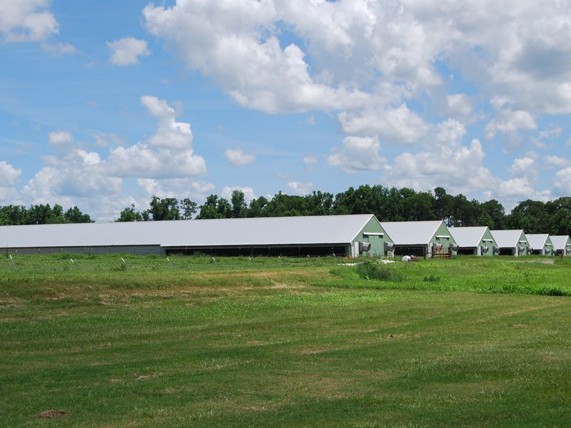 6 46' X 500' Houses Poultry Farm : Coolidge : Colquitt County : Georgia