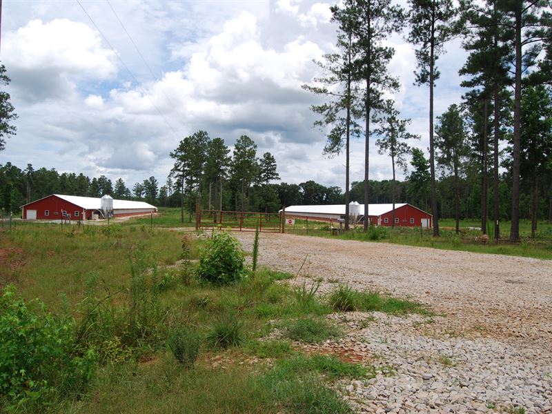 2 Organic Breeder / Eggs Houses Farm for Sale in Elberton, Elbert
