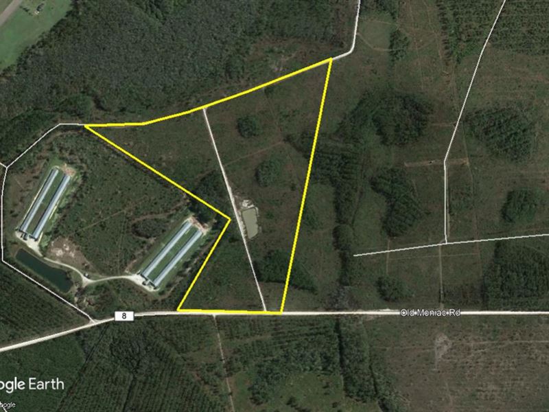 50 Acres, Old Moniac Rd : Saint George : Charlton County : Georgia