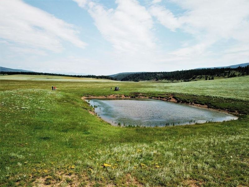 Jarosa Creek Ranch : Angel Fire : Colfax County : New Mexico