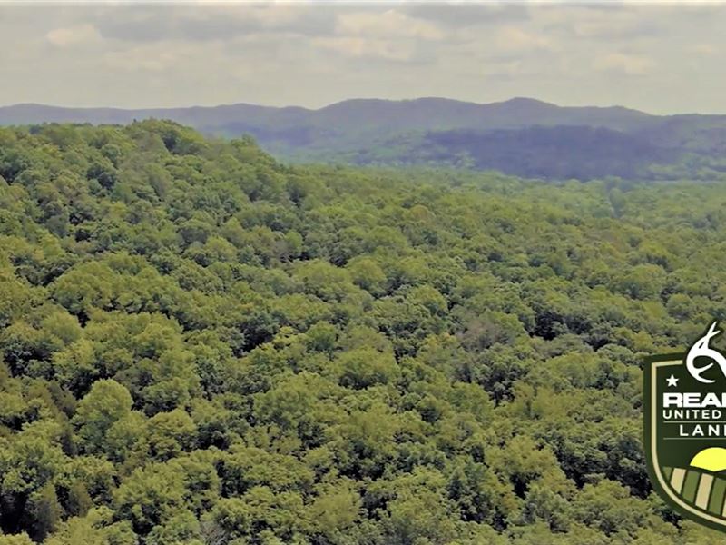 Big White Oak Timber 52 Acres : West Union : Adams County : Ohio