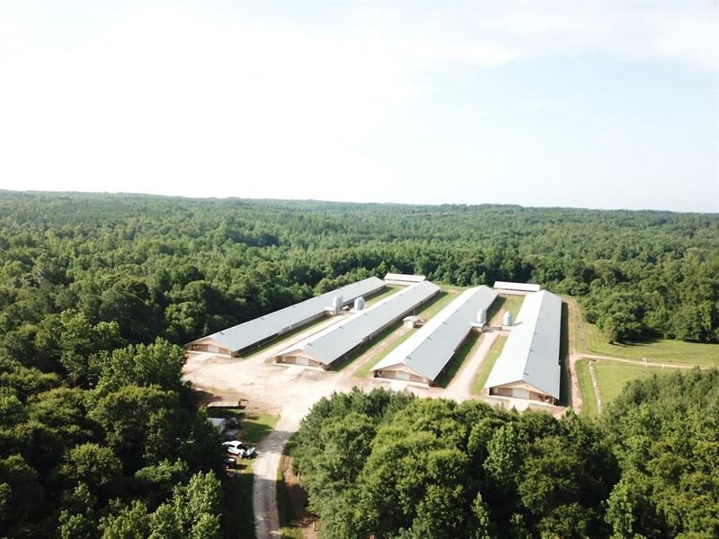 Circle Starr Farm : Starr : Anderson County : South Carolina