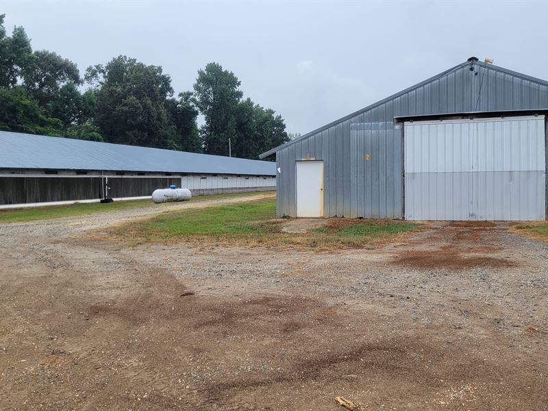 4 Houses with 4 More Possible, Farm for Sale in Arkansas, 287835