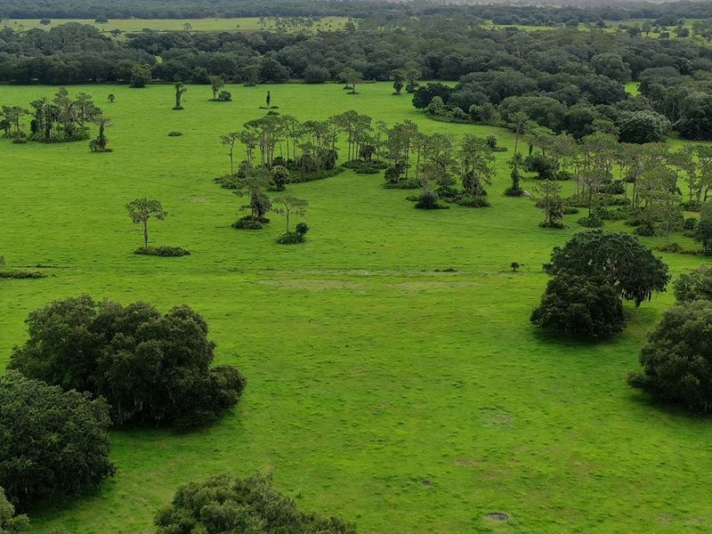 The Ranch at Mossy Island : Myakka City : Manatee County : Florida