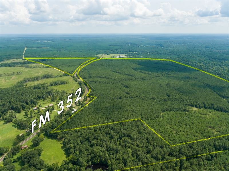 38 Acres T-16 Stryker Mill : Corrigan : Polk County : Texas