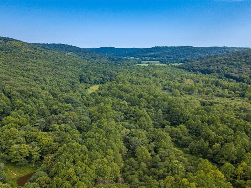 Managed Hunting Property : Rarden : Scioto County : Ohio