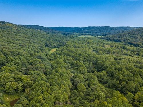 Managed Hunting Property : Rarden : Scioto County : Ohio