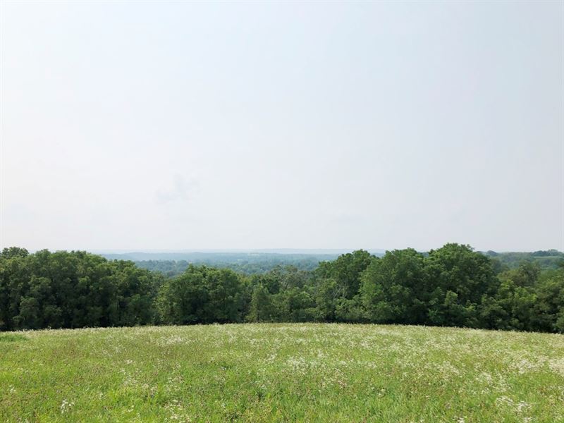 31.81 Acres Hilldale Road : Wauzeka : Crawford County : Wisconsin