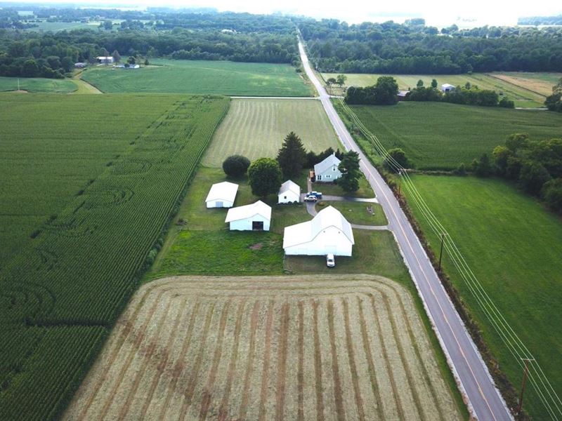 7 Acres, Farm House, 3 Car Garage : Alexandria : Madison County : Indiana