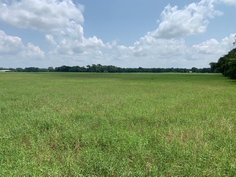 Do You Need Hay : Wellborn : Suwannee County : Florida