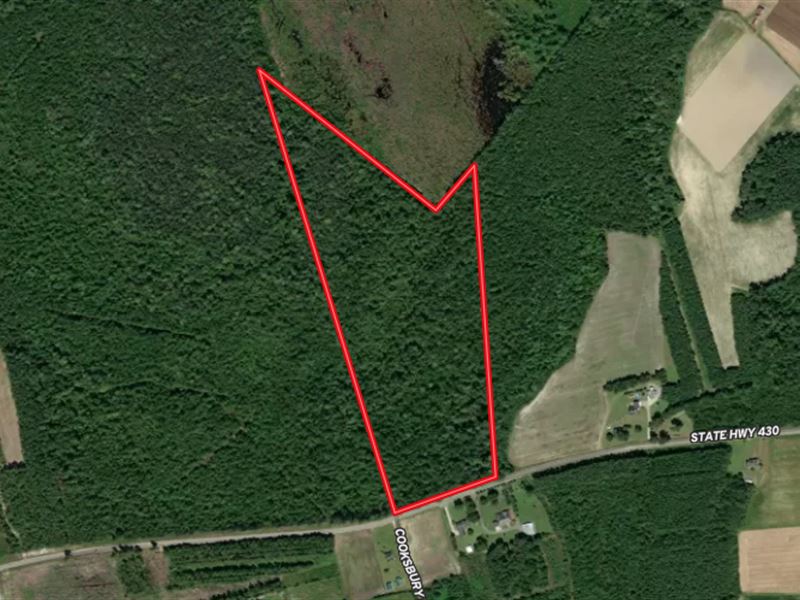32.32 Acres of Timber Land for Sale : Nichols : Horry County : South Carolina