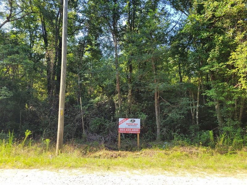 12.26 Acres in Berkeley County, SC, Farm for Sale in South Carolina
