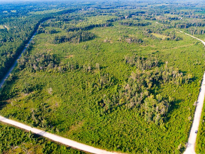 Evans Corner Lot 7 25 Ac Homesite : Lamont : Jefferson County : Florida