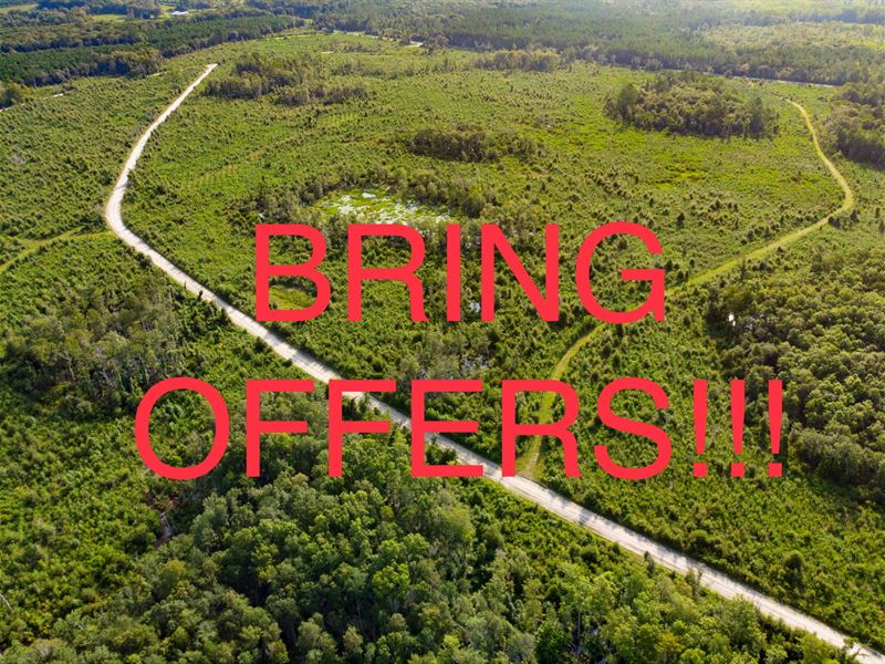 Evans Corner Lot 5 25 Ac Homesite : Lamont : Jefferson County : Florida