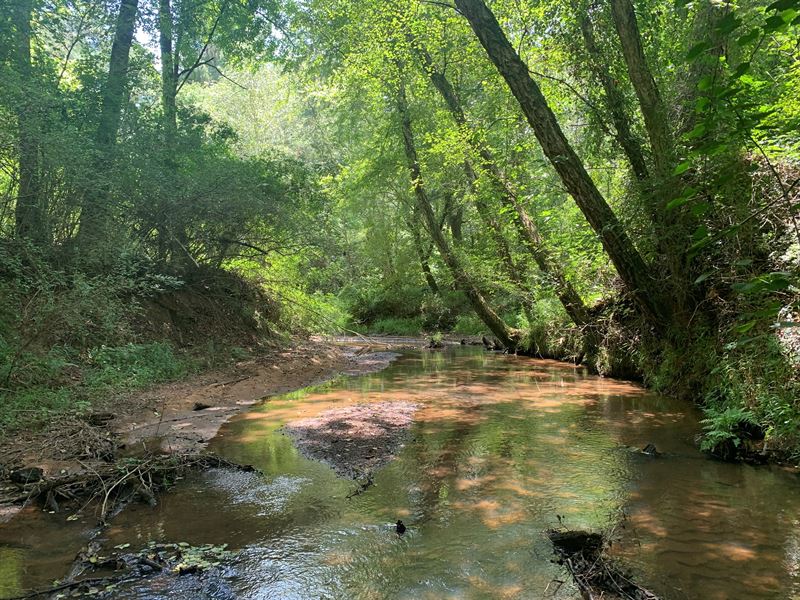 Grove Creek Tract : Lexington : Oglethorpe County : Georgia